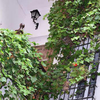 Innsa Casa de hóspedes Valência
